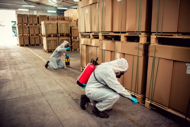 Best Mosquito Control Services  in New Hyde Park, NY