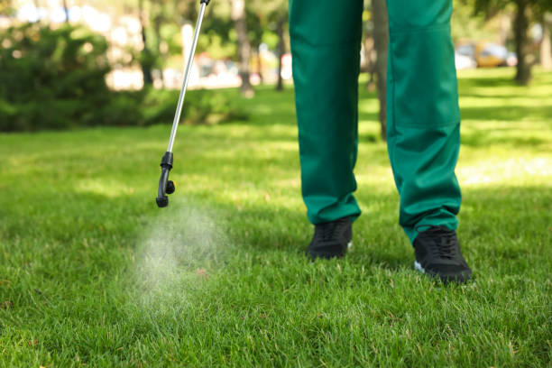Reliable New Hyde Park, NY Pest Control Solutions