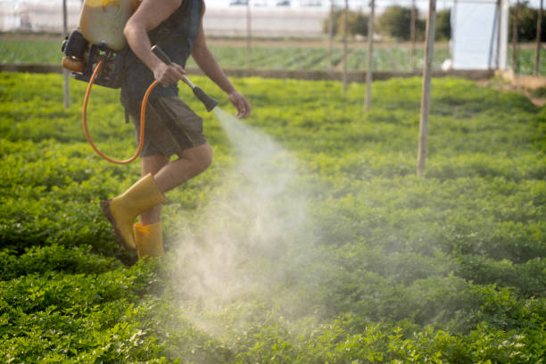 Best Pest Prevention Services  in New Hyde Park, NY