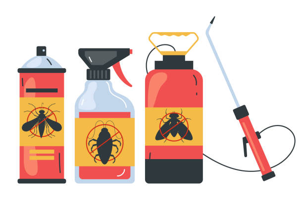 Best Spider Control Near Me  in New Hyde Park, NY