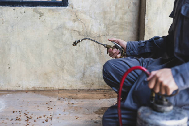 Best Wasp Removal Services  in New Hyde Park, NY